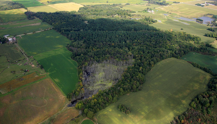 Aerial view of wetland and woodlot, surrounded by agricultural fields